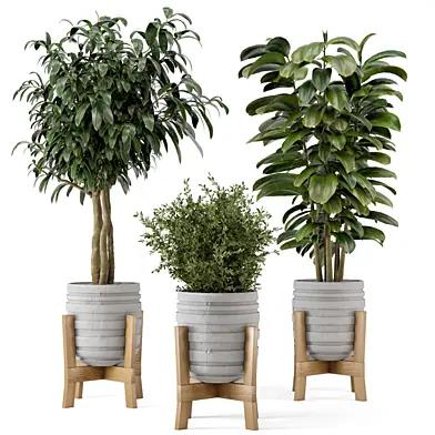 Indoor Plants in rusty Concrete Pot on Wooden Base  - Set 554