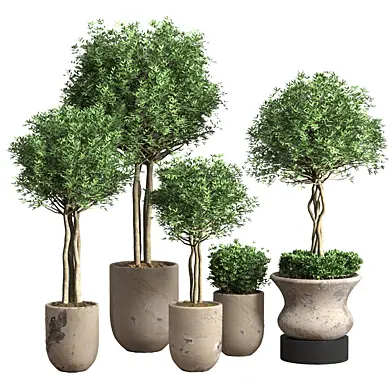 Indoor Plants in damaged plaster Pot - set 01
