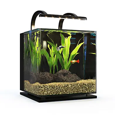 Contour Desktop MarineLande Aquarium
