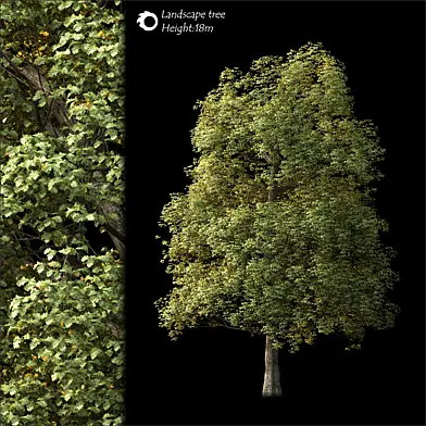 Land scape tree
