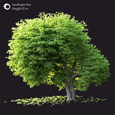 Land scape tree