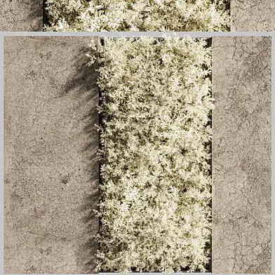 Concrete_and_vertical_garden_04(White_vertical_garden)