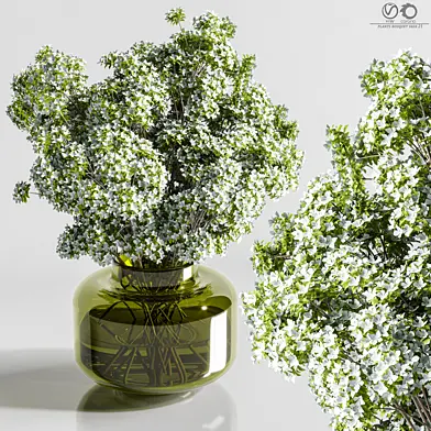 plants_bouquet_vase_21