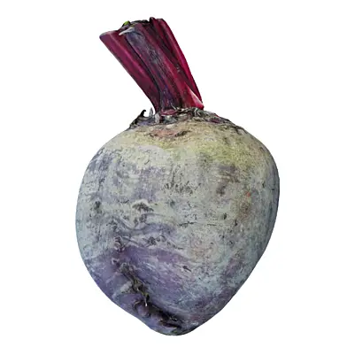 Beetroot