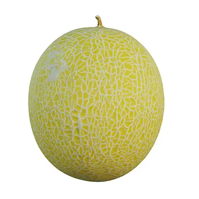 Cantaloupe 02