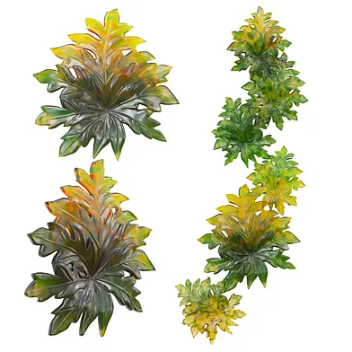 daum leaf