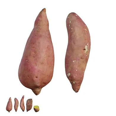 Sweet potato 03