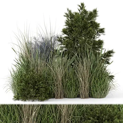 Outdoor Plants Bush -Bush Set 804