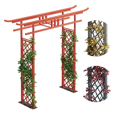 Torii