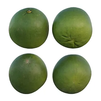 Pomelo 03