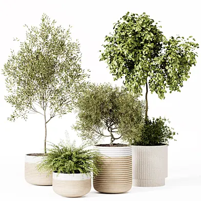 Indoor Plants Set 021