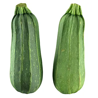 squash