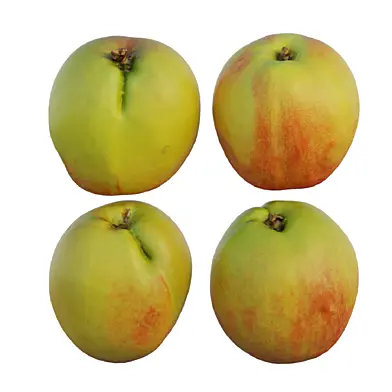 Peach 10