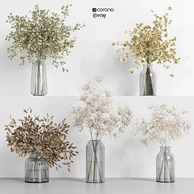 collection of indoor plants Vol03