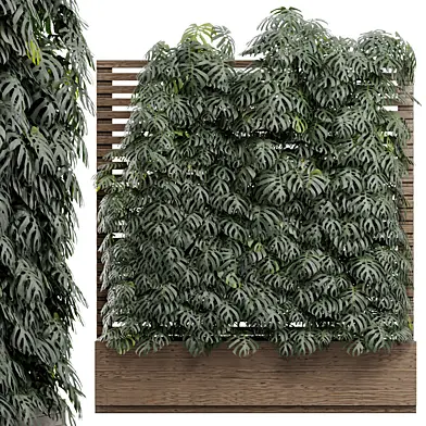 Vertical Garden 01 - Swiss Cheese Plant