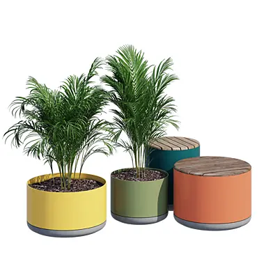 Xylem pot