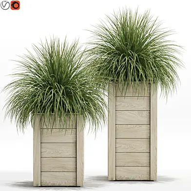 Plants collection 751