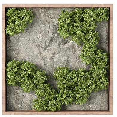 Vertical Rock Garden vol 133