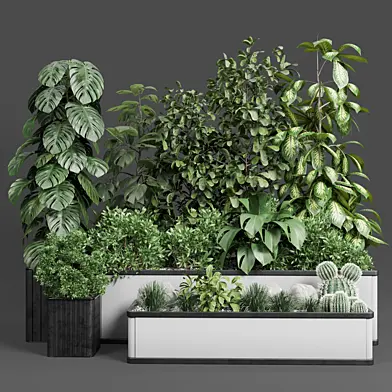 Indoor plant set 285 - concrete box for plant garden