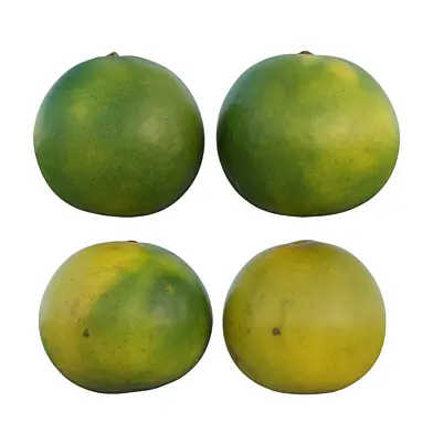 Mandarin