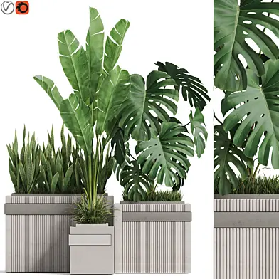 Plants collection 776