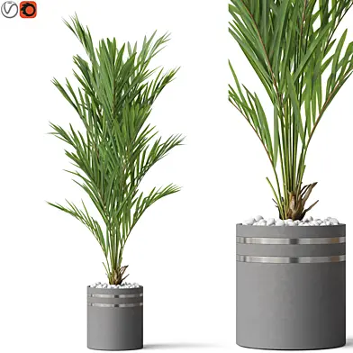 Plants collection 791