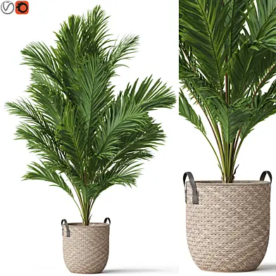 Plants collection 796