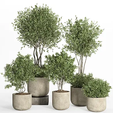 indoor plant set 034