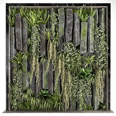 Decorative Rocks & Plants 2