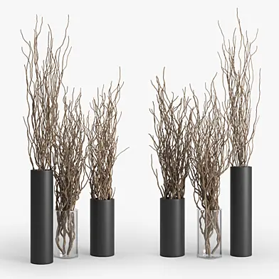 Dry Branch