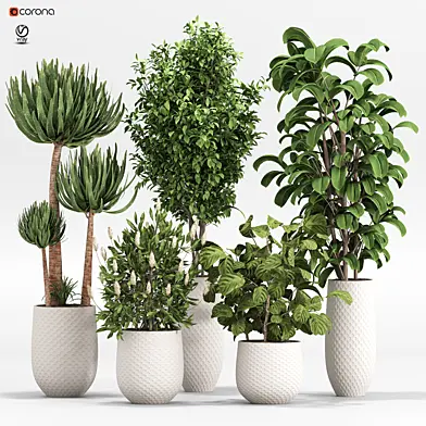 intdoor plants set 011