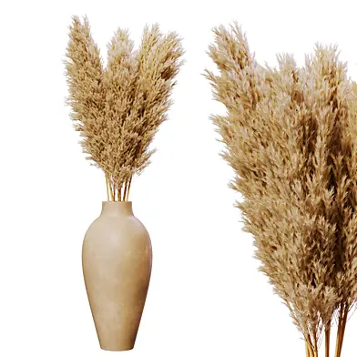 Dried pampas in pot