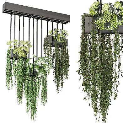indoor hanging plants in metal box_set 645