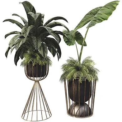 Plant Collection Set 34