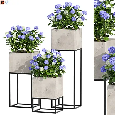 Outdoor Plant For Design 3