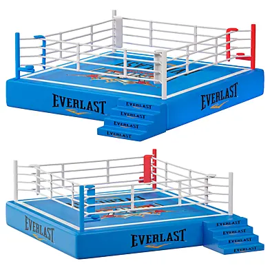 Boxing ring