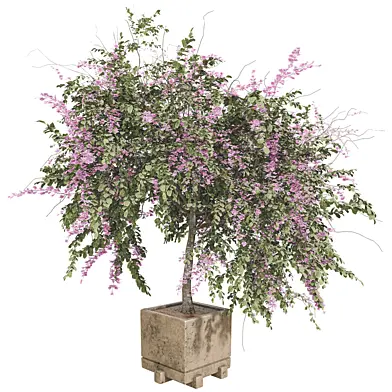 Plant Collection Set 46 _ decorative flower tree