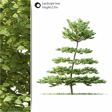 tree