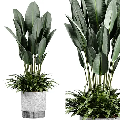 indoor Plant 10