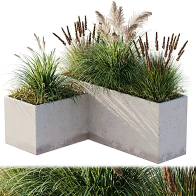 outdoor plant set 10