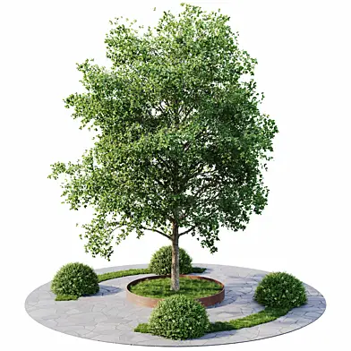 outdoor plant set 11