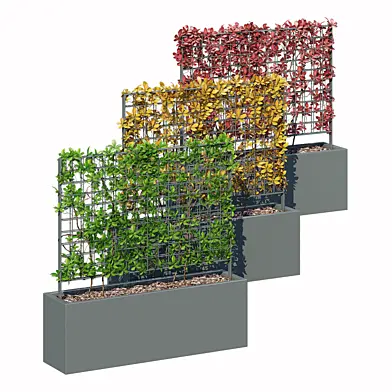 Trellis planter