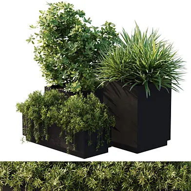 outdoor plant set 13