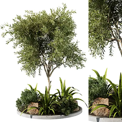 Outdoor Plant 219
