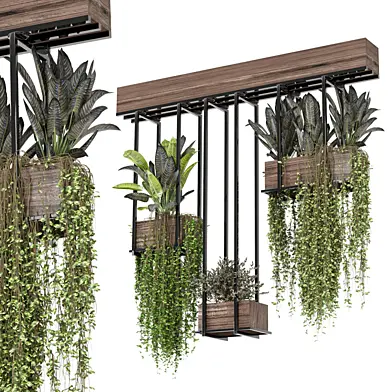 indoor hanging plants in metal box  Set 791