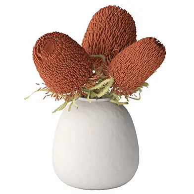 Dried Banksia