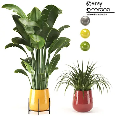 Indoor Plant Set 08