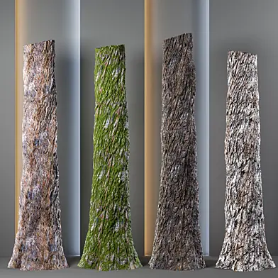 4 Tree bark and trunk vol 8 - 4k - pbr , tileable
