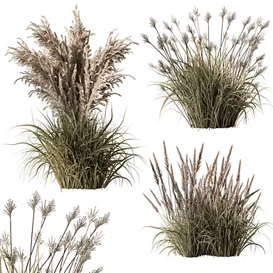 3 Type Tall Grass - Set 22