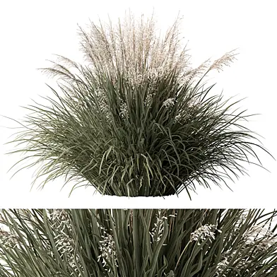 White Flower Grass - Set 24
